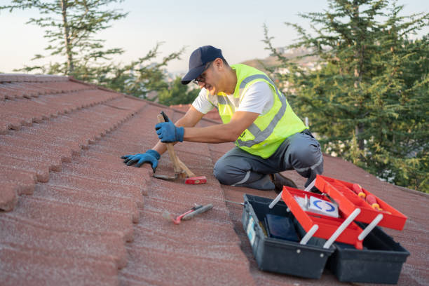 Roof Gutter Cleaning in Fife, WA